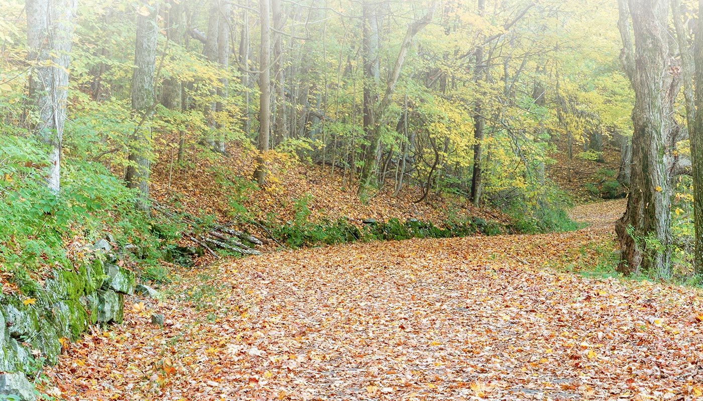 Indianapolis Bioidentical Hormones Indianapolis Bioidentical Hormones